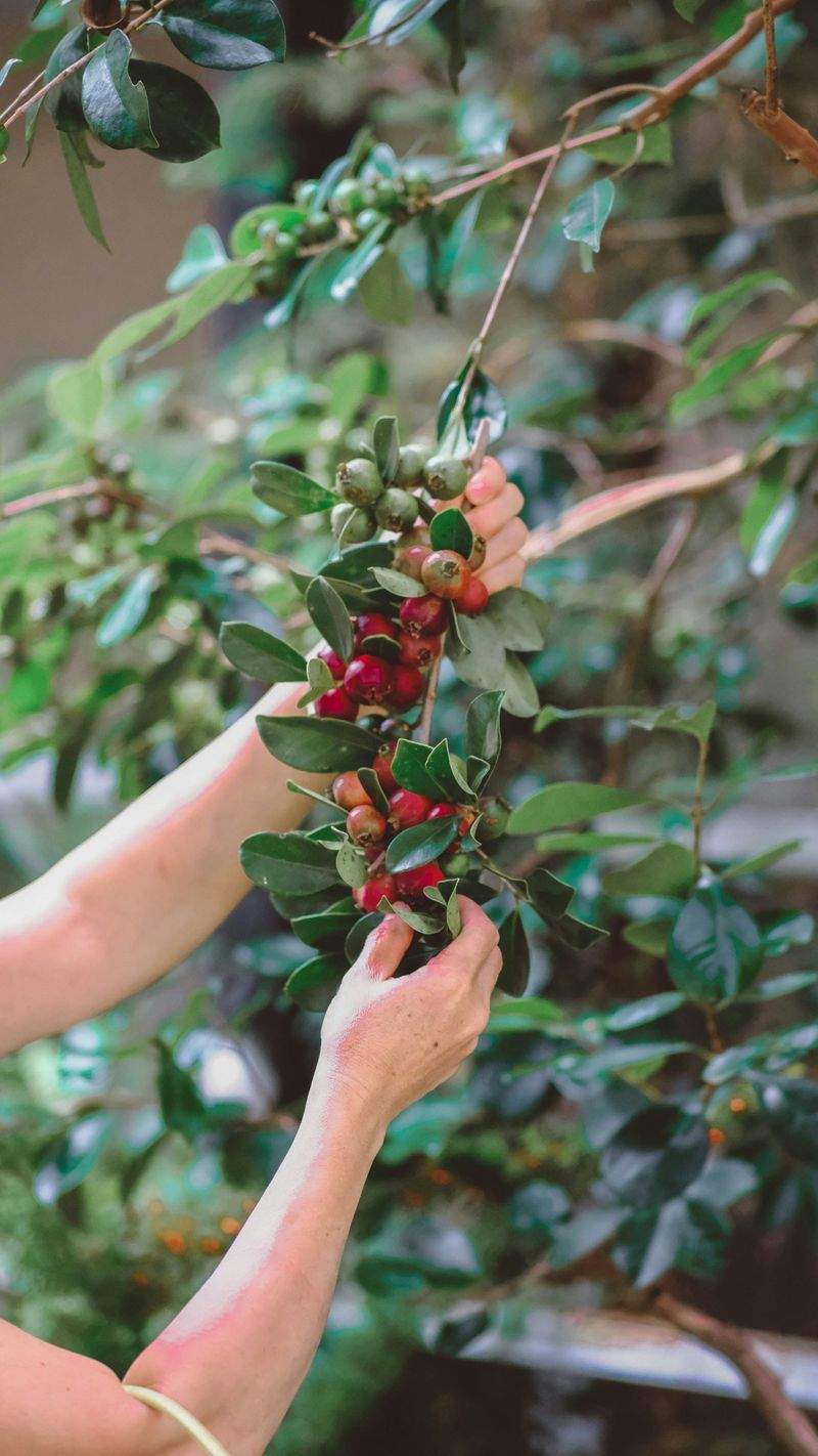 I Segreti per un Giardino Fiorito tutto l'Anno