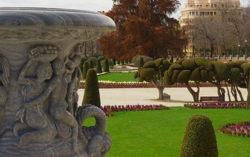 Piante Aromatiche: Coltivazione e Cura