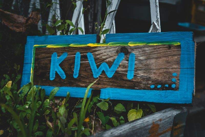 Giardino Perfetto - Image 11