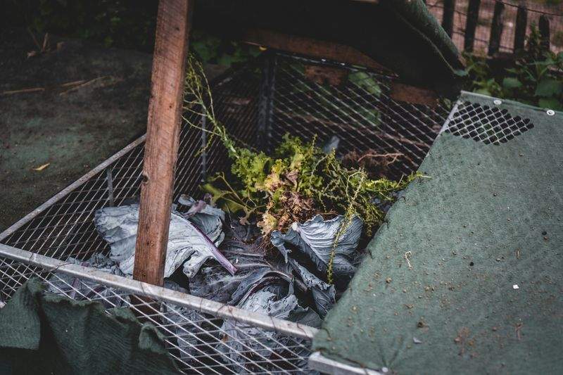 Giardino Perfetto - Image 14